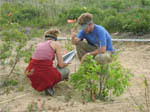 Field workers monitoring plants